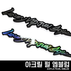 튜닝필기체 호환 아크릴 펄 엠블럼 모음, 1-펄 메탈릭 미러, 009-Perfect Drive