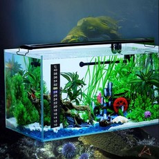 DSBB 어항 온도계 스티커 부착형 온도계 어항온도 수조용품 온도측정스티커 스티커온도계 붙이는온도계, 1개