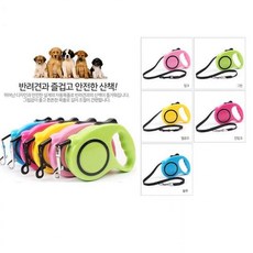 DS 애견목줄 꼬임방지 자동리드줄 반려견 3M 목줄, 블루, 1개