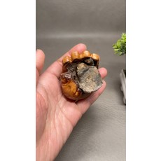 天然崖柏時來運轉擺件, 如圖所示, 1個