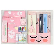 카카오프렌즈 프리미엄 문구 세트 투명 화일케이스 패키지, 어피치