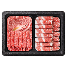 한우선물세트 소고기 갈비살 꽃등심 양지 채끝살 불고기 (주)성진한우, 실속모둠세트 450g(선물포장X), 1세트