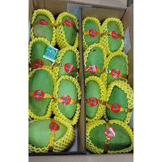 비엠케이 베트남 그린망고 케오망고, 1박스, 5kg + 새우소금 80g