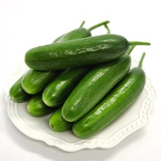 국내산 울팜 미니오이 생식용 간식용 아삭이오이, 1개, 미니오이 500g