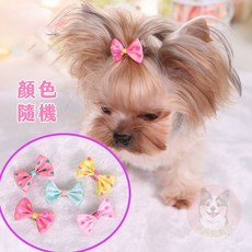 寵物髮夾帽子套裝：狗狗貓咪可愛造型髮飾配件, 1個, 點點蝴蝶結, 點點蝴蝶結