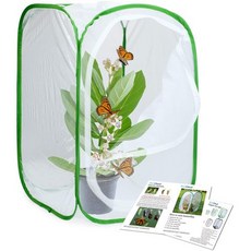 RESTCLOUD 곤충과 나비 서식지 케이지 테라리움 팝업 RESTCLOUD Insect and Butterfly Habitat Cage Terrarium Pop-up 23.6, 녹색이 들어간 흰색, 15.7 x 15.7 x 23.6 인치