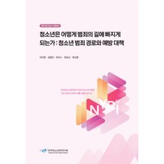 청소년은 어떻게 범죄의 길에 빠지게 되는가: 청소년 범죄경로와 예방대책, 청소년은 어떻게 범죄의 길에 빠지게 되는가: 청소년.., 이지연, 김영지, 박지수, 한윤선, 박선영(저), 한국청소년정책연구원