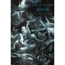 (영문도서)Afterlife: New & Selected Poems Paperback, Bloodaxe Books, English, 9781780373720