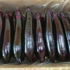 못난이 가지 1박스 1박스 (5kg), 1개, 5kg