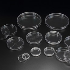 멸균패트리디쉬-4분할패트리디쉬 Petri Dish(90mmx15mm) 10개입팩 폴리스틸렌샤알레/샬레