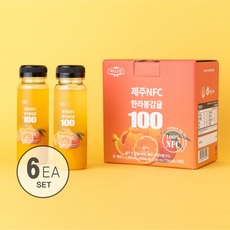 [올리온 공식몰] 제주깜놀 한라봉 감귤쥬스 % 착즙 180ml (1box), 1박스