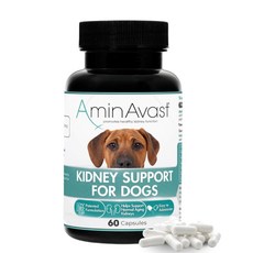 AminAvast 胺腎 中大型犬 60 顆 腎臟保健, 1個, 腎臟/心臟/肝臟, 60顆
