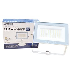 장수램프 LED 사각 투광등 30W (IP67방수), 백색, 주광색(6500K), 1개