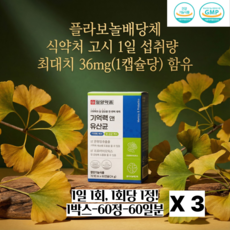 일양약품 데일리 이너밸런스 브레인 프로바이오틱스 은행잎 유래 성분 함유 60캡슐, 3박스, 60정