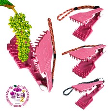 3초 포도 알속기 빗 알천재 2(1세트-3가지 빗), 1세트