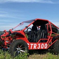 UTV卡丁車四輪越野摩托車，雙人座全地形沙灘車，成人兒童漂移賽車, 200傳動軸帶絞盤, 1個