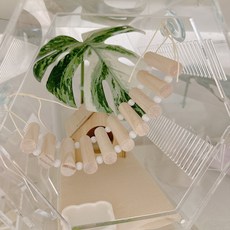 야야랜드 파스텔 사다리 백업 출렁다리 징검다리 도마뱀 파충류 놀이터, 네추럴, 1개