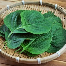 GAP인증 농협선별 추부깻잎 1kg 외 중량별, 01.추부깻잎 20장x10봉, 1개