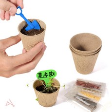 부승 모종 종이화분 20p 육묘, 1개