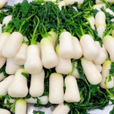 해남 무안 절임 알타리 무우 김치 5kg 10kg, 1개, 무청일체형 알타리 / 5kg