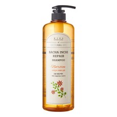 댕기머리 허벌 리페어 샴푸 동백, 1L, 1개