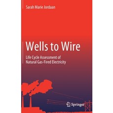(영문도서) Wells to Wire: Life Cycle Assessment of Natural Gas-Fired Electricity Hardcover, Springer, English, 9783030719708
