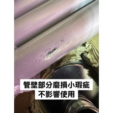 嘟嘟鳥寵物 美國ZOOMED鳥用豪華落地燈 鳥用日光浴 UV AFL-10 國際獸醫認證紫外燈 UVA UVB, 1個, Zoomed鳥用豪華落地燈/磨損瑕疵優惠