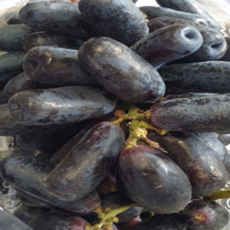 씨없는 포도 블랙사파이어, 1kg, 1개