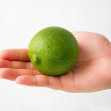 멕시코 생 라임, 1개, 100g내외, 1.8kg (17-20입)