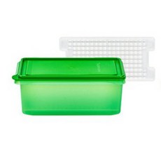 타파웨어 모듈러 냉장기 2.7L+그리드포함 초록 냉장실 파 야채 생선 육류 보관 만능 용기