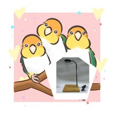 鳥寶專用 仿太陽光 全光譜自然光 紫外線 UVA 鳥籠專用 7瓦 竹質底座 led 補光燈 鸚鵡 台灣製造 保固一年, 1個, 竹質底座補光燈