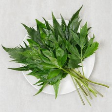 당귀잎 당귀쌈 1kg, 당귀잎 1kg, 1개