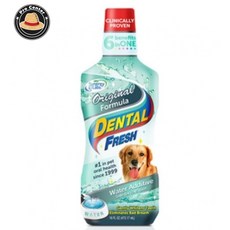 프로센터 덴탈후레쉬 독 오리지널 503ml 강아지구강미용 강아지위생용품 구강청결제