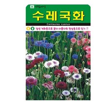수레국화 꽃 씨앗 (합 1500립) 야생화 종자, 1개