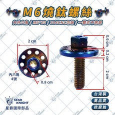 STAR KNIGHT M6 車牌螺絲 白鐵不鏽鋼螺絲 大頭螺絲, 1個, M6大頭螺絲-燒鈦版