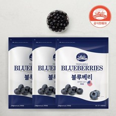 냉동 블루베리 미국산 1kg x 3개 [베리필드], 없음