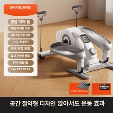 미니일립티컬 가정용일립티컬 소형일립티컬 홈피트니스 무소음운동기구 전신운동기구 일립티컬머신 가정용스텝퍼 홈트트레드밀 유산소운동기구 헬스기구종류 실내사이클 무릎운동기구 실내스텝밀, E.월광백 로프형-초정숙-16단계 강의-c3, 기본 모델명/품번