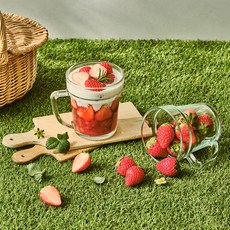 글라스락 가든머그 490mL 2P 세트