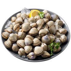 [더싱싱] 고창 당일채취 동죽조개, 1kg, 1개