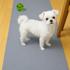 파파스 강아지매트 애견 펫 미끄럼방지 롤매트 반려견 거실 복도형 60x240, 미끄럼방지 롤매트60*240(그레이), 1개