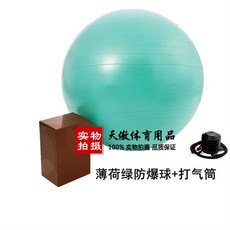 짐볼 의자 체어 4종 블랙 테스공 홈트 세트 운동 코어, B. 65cm 키 60-65cm, J. 민트 그린 방폭 에어펌프