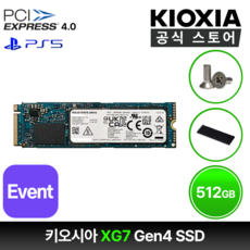 키오시아 XG7 M.2 NVMe SSD Gen4 벌크 D램 탑재 TLC, KXG70ZNV, 500GB