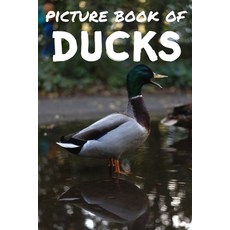 Picture book of ducks: Photos of ducks - Picture book for kids and more - Picture book for seniors w... Paperback, Independently Published