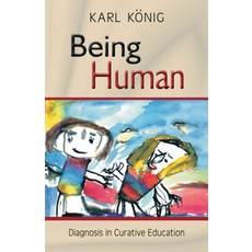 (영문도서) Being Human Paperback, Steiner Books, English, 9780880102803