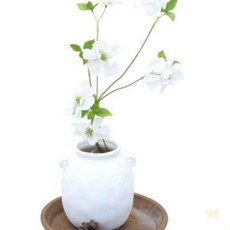 루마 조화 장미 화이트 드라이플라워대체