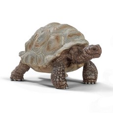 (선물완구)슐라이히 자이언트 거북 SL14824 Giant tortoise