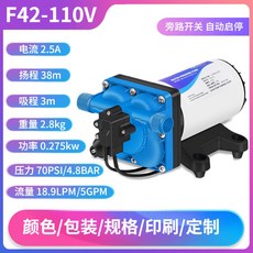 110V 高效自吸泵 高揚程直流增壓泵 家用澆花噴霧水泵 18昇大流量液體灌裝輸送增壓泵 露營車隔膜泵, 1個, STFDP2-L07-F4250110V