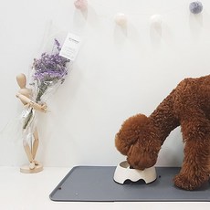 강아지 고양이 식기매트 실리콘 패드roo6+3coj