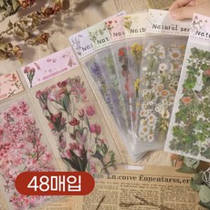 압화 꽃 다꾸 스티커 캘리그라피 편지 꾸미기, 1개, B세트 48매 1개, B세트 48매