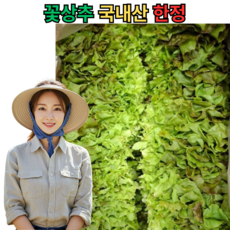 [재구매율1위] 산지직송 신선국내산 꽃상추 쌈채소 상추 Fresh Korean Red Leaf Lettuce, 1박스, 2kg